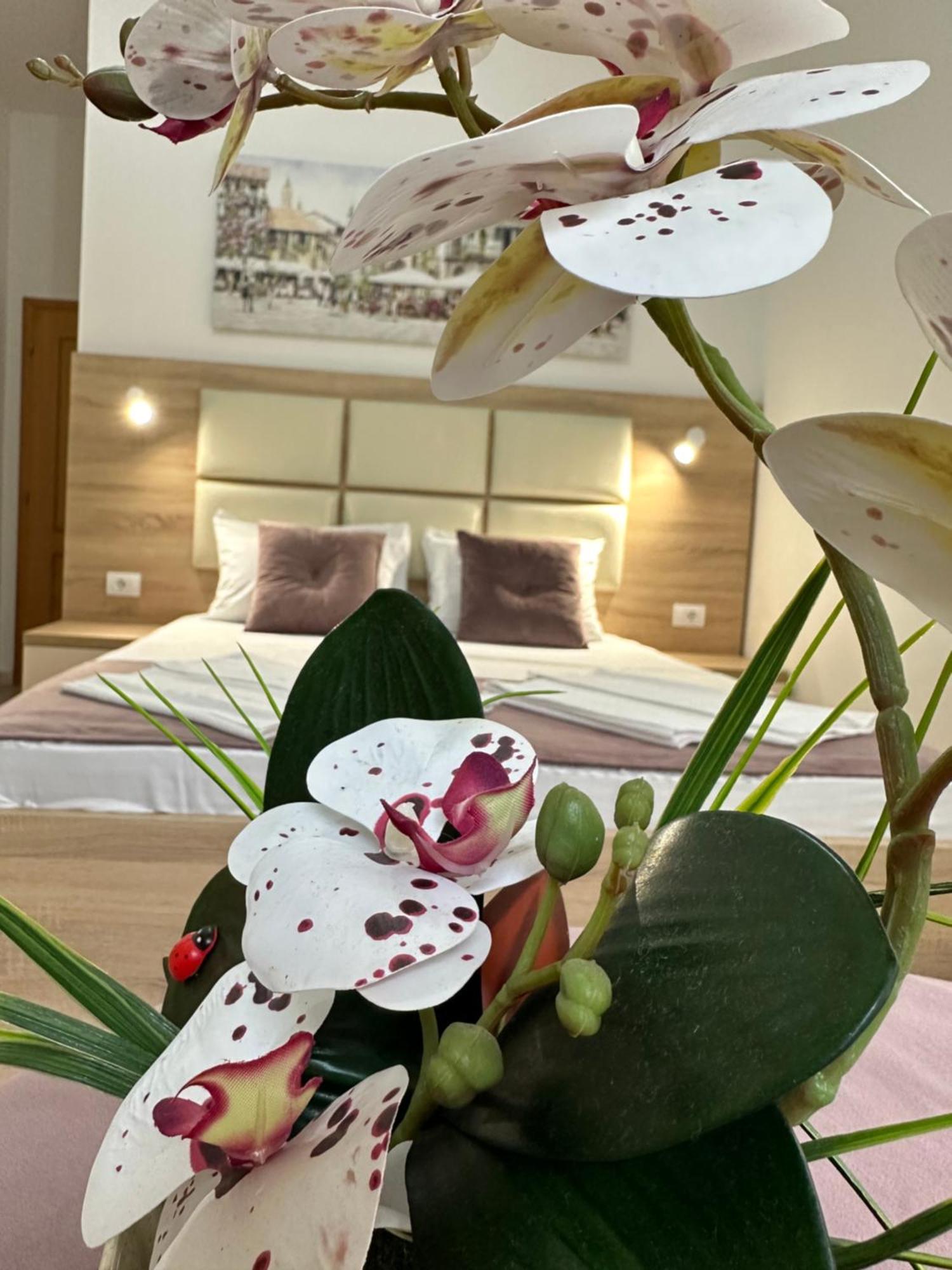 Apartments Sija Ulcinj Zewnętrze zdjęcie