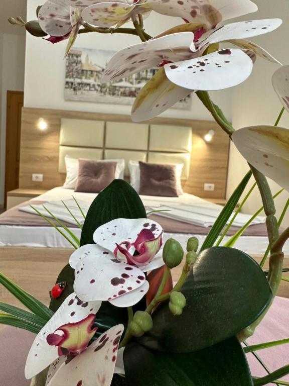 Apartments Sija Ulcinj Zewnętrze zdjęcie
